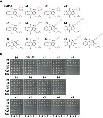 Redirecting an Anticancer to an Antibacterial Hit Against Methicillin-Resistant Staphylococcus aureus